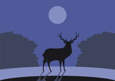 Esboço preto de um cervo horned em um fundo da floresta azul com arbustos e do céu com o desenho do vetor da lua ilustração royalty free Esboço preto de um cervo horned em um fundo da floresta azul com arbustos e do céu com o desenho do vetor da lua ilustração royalty free