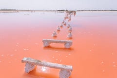 Escaleras coralinas de vida del lago Color del año 2019 stock de ilustración Escaleras coralinas de vida del lago Color del año 2019 stock de ilustración