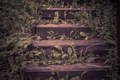 Escaliers en bois abandonnés photographie stock libre de droits Escaliers en bois abandonnés photographie stock libre de droits