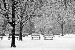 Escena hermosa, pacífica de un parque durante un invierno Imagen de archivo libre de regalías Escena hermosa, pacífica de un parque durante un invierno Imagen de archivo libre de regalías