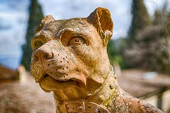 Escultura solene e cuidadosa do cão Imagens de Stock Royalty Free Escultura solene e cuidadosa do cão Imagens de Stock Royalty Free