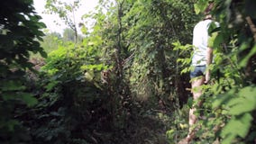 Escursione del trekking della donna nella giungla della foresta pluviale Elevi il punto di vista posteriore di giovane viandante video d archivio Escursione del trekking della donna nella giungla della foresta pluviale Elevi il punto di vista posteriore di giovane viandante video d archivio
