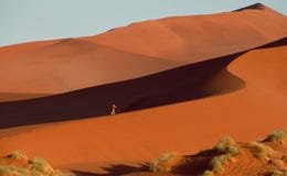 Escursione di camminata della duna di sabbia del deserto di Namib fotografia stock Escursione di camminata della duna di sabbia del deserto di Namib fotografia stock