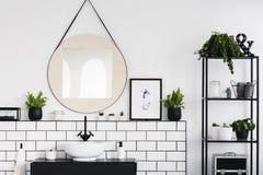 Espejo y cartel redondos entre las plantas en el interior blanco y negro del cuarto de baño con el lavabo Foto verdadera foto de archivo Espejo y cartel redondos entre las plantas en el interior blanco y negro del cuarto de baño con el lavabo Foto verdadera foto de archivo