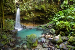 Esplorazioni del Dominica immagine stock libera da diritti Esplorazioni del Dominica immagine stock libera da diritti