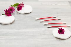Esponjas para quitar maquillaje con las flores en el fondo fotos de archivo libres de regalías Esponjas para quitar maquillaje con las flores en el fondo fotos de archivo libres de regalías