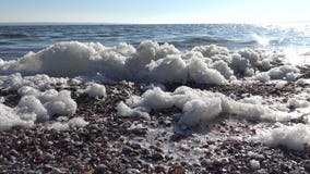 Espuma sucia en el agua y la costa, eutroficación, contaminación del depósito, metrajes Espuma sucia en el agua y la costa, eutroficación, contaminación del depósito, metrajes