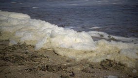 Espuma sucia en el agua y la costa, eutroficación, contaminación del depósito, problema ecológico metrajes Espuma sucia en el agua y la costa, eutroficación, contaminación del depósito, problema ecológico metrajes