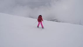 Esquiador de la mujer que esquía abajo de la cuesta de montaña en una niebla pesada almacen de video Esquiador de la mujer que esquía abajo de la cuesta de montaña en una niebla pesada almacen de video