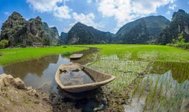 Esquife del arroz de arroz en el binh del ninh, Vietnam imagen de archivo Esquife del arroz de arroz en el binh del ninh, Vietnam imagen de archivo