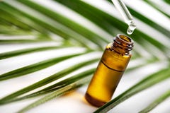 Essential oil falling from glass dropper Royalty Free Stock Image Essential oil falling from glass dropper Royalty Free Stock Image