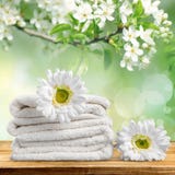 essuie-main image stock essuie-main image stock