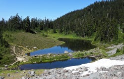 Estate nel lago Mazama immagini stock Estate nel lago Mazama immagini stock