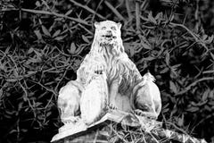 Estatua hermosa de un león de piedra místico con dos cuerpos Imagen de archivo libre de regalías Estatua hermosa de un león de piedra místico con dos cuerpos Imagen de archivo libre de regalías