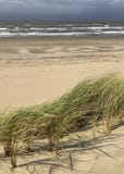 Estorno nas dunas de areia no encalha, céu nebuloso chuvoso na costa dos Países Baixos imagens de stock Estorno nas dunas de areia no encalha, céu nebuloso chuvoso na costa dos Países Baixos imagens de stock