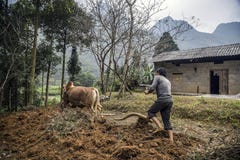 Estrada das montanhas na província Ha Giang fotografia de stock Estrada das montanhas na província Ha Giang fotografia de stock