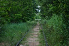 Estrada de ferro abandonada Um local uma vez que-vívido coberto de vegetação com a grama e as árvores deteriora??o fotografia de stock Estrada de ferro abandonada Um local uma vez que-vívido coberto de vegetação com a grama e as árvores deteriora??o fotografia de stock