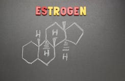 estrogen fotos de stock estrogen fotos de stock