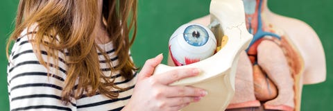 Estudiante femenino joven de la High School secundaria que lleva a cabo el modelo del ojo humano imagen de archivo Estudiante femenino joven de la High School secundaria que lleva a cabo el modelo del ojo humano imagen de archivo