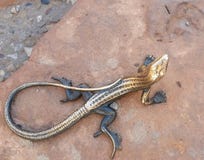 A estátua de bronze do lagarto em visitantes do parque nacional dos arcos centra-se imagem de stock A estátua de bronze do lagarto em visitantes do parque nacional dos arcos centra-se imagem de stock