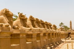 Estátuas na aleia de Ram Headed Sphinxes no templo de Karnak em Luxor, Egito fotografia de stock Estátuas na aleia de Ram Headed Sphinxes no templo de Karnak em Luxor, Egito fotografia de stock