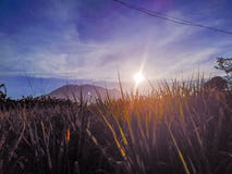 9 estão na exploração agrícola de Pili Cam Sur imagens de stock 9 estão na exploração agrícola de Pili Cam Sur imagens de stock