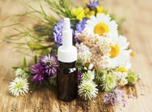 Etherische olie met Geneeskrachtige Kruiden en Bloemen voor Alternatief T royalty-vrije stock afbeeldingen Etherische olie met Geneeskrachtige Kruiden en Bloemen voor Alternatief T royalty-vrije stock afbeeldingen