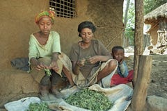 Village life Ethiopian mother and girl clean herbs royalty free stock images Village life Ethiopian mother and girl clean herbs royalty free stock images