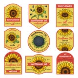 Etichette per l'olio di girasole Illustrazione di vettore con il posto per il vostro testo illustrazione di stock Etichette per l'olio di girasole Illustrazione di vettore con il posto per il vostro testo illustrazione di stock