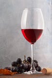 Ett exponeringsglas av r arkivfoto Ett exponeringsglas av r arkivfoto