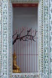 Ett litet guld- buddha bildsammanträde på en trädfilial bak ett rött staket på Wat Arun arkivfoto Ett litet guld- buddha bildsammanträde på en trädfilial bak ett rött staket på Wat Arun arkivfoto