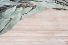 Eucalypt twig on a wooden table Stock Image Eucalypt twig on a wooden table Stock Image