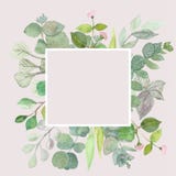Eucalyptus leaves on white background. Frame made of eucalyptus branches. Flat lay, top view, copy space vector illustration Eucalyptus leaves on white background. Frame made of eucalyptus branches. Flat lay, top view, copy space vector illustration