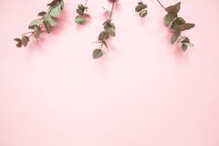 Eukalyptusniederlassungen auf tausendjährigem rosa Hintergrund mit Kopienraum Eukalyptus auf Oberkante Minimalismusebenenlage stockfoto Eukalyptusniederlassungen auf tausendjährigem rosa Hintergrund mit Kopienraum Eukalyptus auf Oberkante Minimalismusebenenlage stockfoto