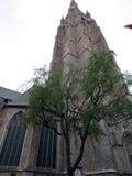 Europa, Bélgica, Flandes Occidental, Brujas, vista del templo de la madre de dios y del árbol en la primavera fotos de archivo libres de regalías Europa, Bélgica, Flandes Occidental, Brujas, vista del templo de la madre de dios y del árbol en la primavera fotos de archivo libres de regalías