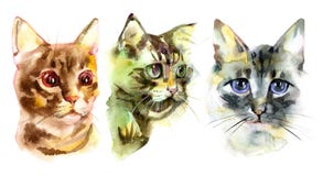 European shorthair cat red tabby, kitten lies on white background, isolated, hand draw watercolor painting. vector illustration European shorthair cat red tabby, kitten lies on white background, isolated, hand draw watercolor painting. vector illustration