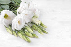 Eustoma de fleurs blanches sur un fond en bois blanc avec l'endroit pour l'inscription photo libre de droits Eustoma de fleurs blanches sur un fond en bois blanc avec l'endroit pour l'inscription photo libre de droits