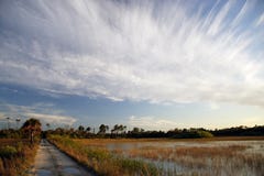 Everglades Backcountry Trail Stock Photos Everglades Backcountry Trail Stock Photos