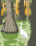 Everglades National Park With Egret In Mangrove And Cypress Trees WPA Poster Art Royalty Free Stock Photography