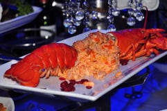 Lobster Dish In Purple Light Stock Photo Lobster Dish In Purple Light Stock Photo
