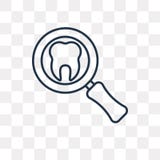 Examination vector icon on transparent background, line vector illustration Examination vector icon on transparent background, line vector illustration