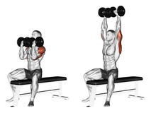 Bench Press Stock Illustrations 1 089 Bench Press Stock