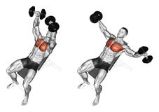 Dumbbell Incline Bench Two Arm Row Exercise Database Jefit