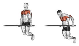Exercising. Dips vector illustration Exercising. Dips vector illustration