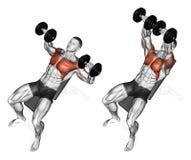 Exercising Incline Bench Two Arm Dumbbell Row Illustration