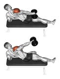 Exercising. Lifting a dumbbell in one hand side, l