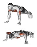 Exercising. Pushups vector illustration Exercising. Pushups vector illustration