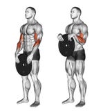 Exercising. Reverse plate curls vector illustration Exercising. Reverse plate curls vector illustration