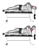 Exercising. Side lifting head lying stock illustration Exercising. Side lifting head lying stock illustration