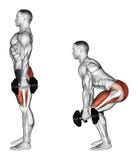 Exercising. Squats with dumbbells
